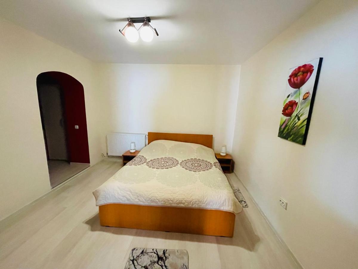 Apartament Extralarge Busteni Exterior photo